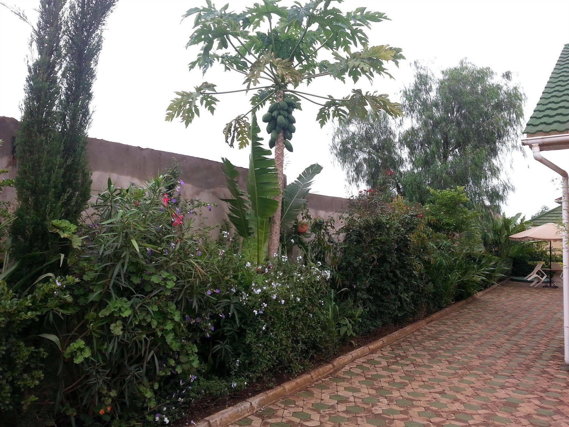 Korona House Hotel Arusha Kültér fotó